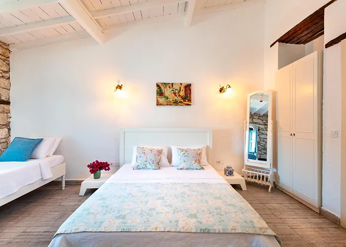 게스트하우스 Eski Ev 4*