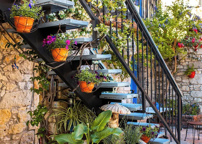 Eski Ev 게스트하우스