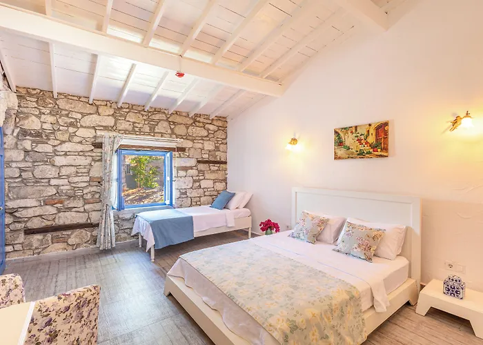 Eski Ev Pensionat 4*